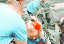 Terapia cu plante și flori Terapie cu flori și plante