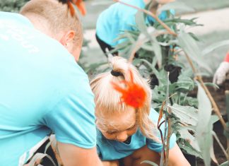 Terapia cu plante și flori Terapie cu flori și plante